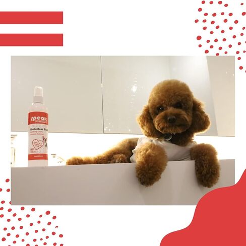 Speak Pet Products Natural Moisturizing Coconut Papaya Waterless Bath Spray, 8 Ounce Bottle in Kuwait