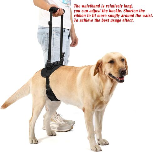 NOYAL Dog Lift Harness for Senior & Injured Pets – Full-Body Support Sling with Breathable Mesh, Front/Rear Leg Assist for Arthritis, Hip Dysplasia & Post-Surgery Recovery (Medium-Large Breeds) in Saudi Arabia