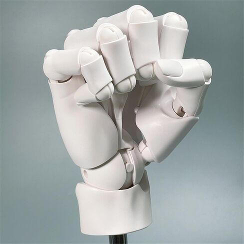 نموذج يد يمنى مرن 1:1، مفاصل متحركة للفنانين على شكل يد مانيكين لعرض الرسم والرسم، أبيض in Kuwait