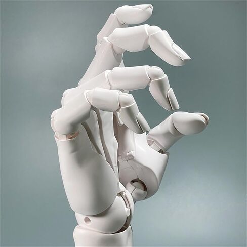 نموذج يد يمنى مرن 1:1، مفاصل متحركة للفنانين على شكل يد مانيكين لعرض الرسم والرسم، أبيض in Kuwait