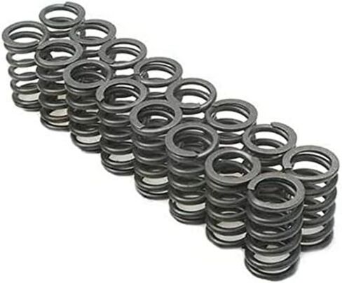 Manley 22125-16 Valve Spring, 16 Piece in Saudi Arabia