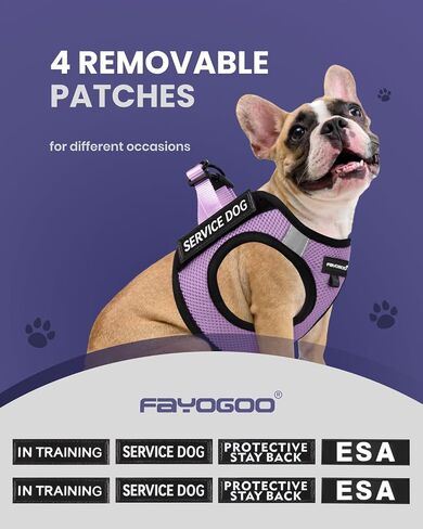 FAYOGOO Service Dog Vest Set for Small Dogs, Mesh Harness and Leash in Kuwait