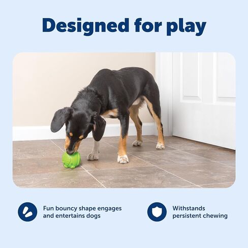 PetSafe Busy Buddy Hippster Dog Chew Toy - Treat Dispenser - Small Medium/Large in Saudi Arabia