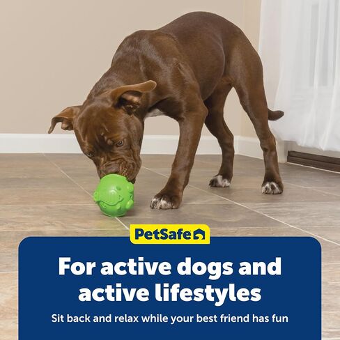 PetSafe Busy Buddy Hippster Dog Chew Toy - Treat Dispenser - Small Medium/Large in Saudi Arabia