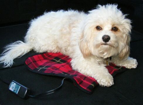 Trillium Worldwide Car Cozy 2 12-Volt Heated Mini Travel Pad, Red Plaid, 16 x 16, (TWI-2202) in Kuwait