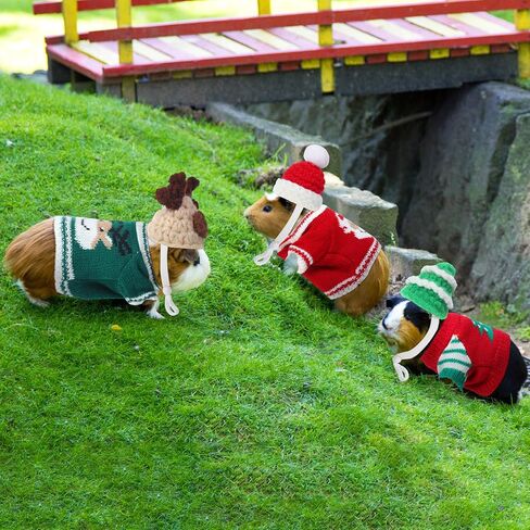 10 Pcs Guinea Pig Clothes, 5 Guinea Pig Costume Outfit, 5 Mini Hat with Adjustable Strap Small Animal Warm Vest Sweater Cozy Hand Knitted Hat for Hamster Bunny (Modern) in Saudi Arabia
