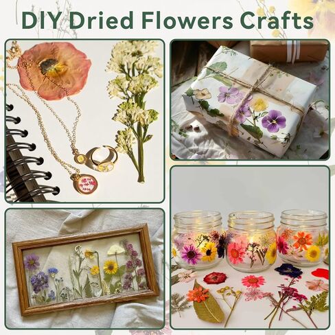 TTUGTTUG Wooden Flower Press Kit, 11" x 11" Large Pressed Flowers for Adult in Saudi Arabia
