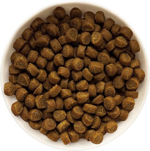 مكافآت تدريب الكلاب الصغيرة الطبيعية من زوك، وصفة لحم البقر، مكافآت ناعمة للكلاب الصغيرة مع الفيتامينات والمعادن، مصنوعة لجميع أحجام السلالات (لحم البقر، 6 أونصة (عبوة من 6)) in Kuwait