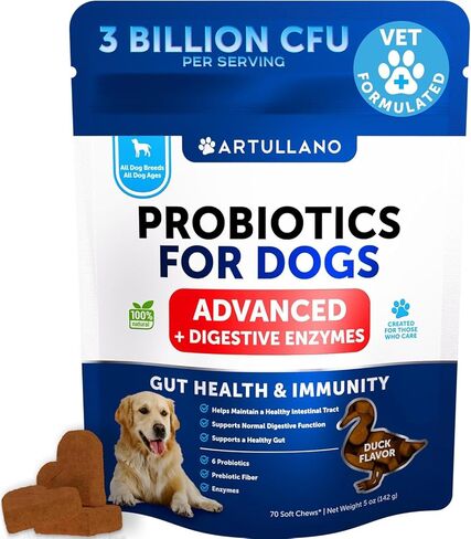 Boost Cat Gut Health & Immunity with Probiotics and Digestive Enzymes - Supports Digestion - Nutrient Absorption - 30 Sticks in Kuwait