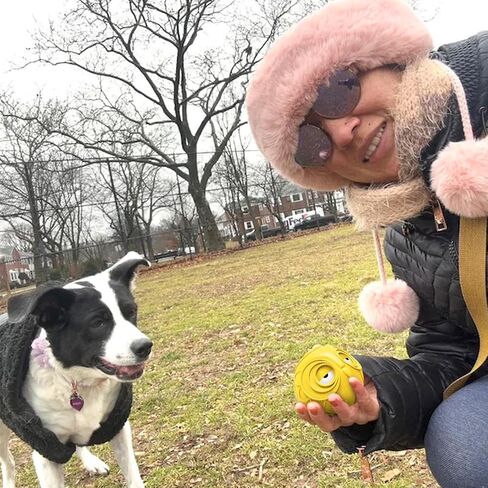 Giggle Ball for Dogs Owl Dog Toys for Aggressive Chewers Medium Large Dogs Gift for Dog Jolly Ball Natural Rubber Cute Owl Hoot(Tougher Rubber) in Saudi Arabia
