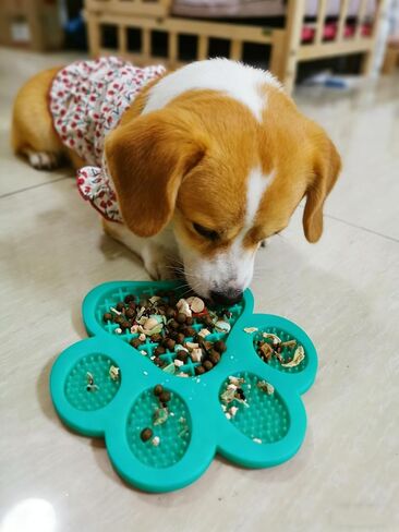 وسادة لعق الكلاب من ميسيسي، جهاز تشتيت انتباه الكلاب، بساط الأكل البطيء للكلاب مع شفط فائق للكلاب لعق زبدة الفول السوداني، واستحمام الحيوانات الأليفة، والعناية وتدريب الكلاب in Kuwait