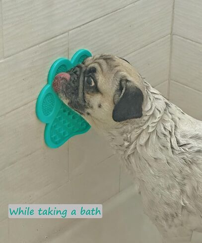 وسادة لعق الكلاب من ميسيسي، جهاز تشتيت انتباه الكلاب، بساط الأكل البطيء للكلاب مع شفط فائق للكلاب لعق زبدة الفول السوداني، واستحمام الحيوانات الأليفة، والعناية وتدريب الكلاب in Kuwait