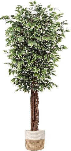 plant Artificial Ficus Tree 6ft in Pot Fake Silk Plant Green Red Leaves Natural Trunk for Indoor Outdoor Home Garden Decor in Saudi Arabia