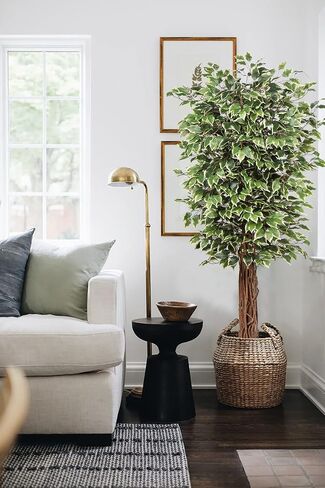 plant Artificial Ficus Tree 6ft in Pot Fake Silk Plant Green Red Leaves Natural Trunk for Indoor Outdoor Home Garden Decor in Saudi Arabia