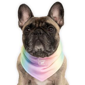 Canada Pooch Cooling Bandana for Dogs - Evaporative Cooling Dog Bandana with Breathable Mesh Material for Hot Days, Adjustable Dog Cooling Bandana Great for Dogs