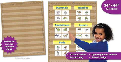 مخطط الجيب 10 جيوب باللون الأزرق الفاتح من Teacher Created Resources (34 بوصة × 44 بوصة) (20778) in Kuwait