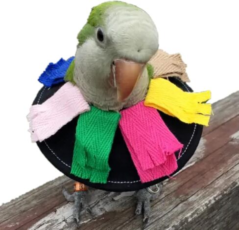 Yu’s north Adjustable Bird Collar Anti Bite Elizabethan Recovery Cone, Bird Neck Protector for Feather Plucking, Skin-Friendly Bird Neckwear Full Body Shield for Parakeet Conure Cockatiel (L), Black in Saudi Arabia