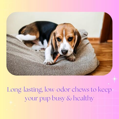 أعواد الكولاجين الطبيعية من BFF Pet Supply - أعواد مضغ للكلاب مقاس 6 بوصات - 100% من لحم البقر الذي يتغذى على العشب، رائحة منخفضة، مكون واحد، مكافآت خالية من الجلود الخام - 5 قطع in Kuwait