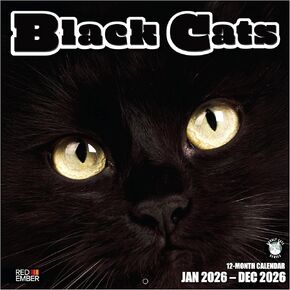تقويم حائط قطط سوداء من ريد إمبر 2026 لمدة 12 شهرًا | ورق سميك وقوي | هدية العيد | لطيف هريرة القط التقويم 2026 in Kuwait
