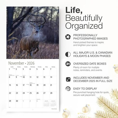 تقويم حائط RED EMBER Dream Bucks 2026 لمدة 12 شهرًا | ورق سميك وقوي | هدية العيد | صيد الغزلان ذو الذيل الأبيض، تقويم الحيوانات البرية لعام 2026 in Kuwait