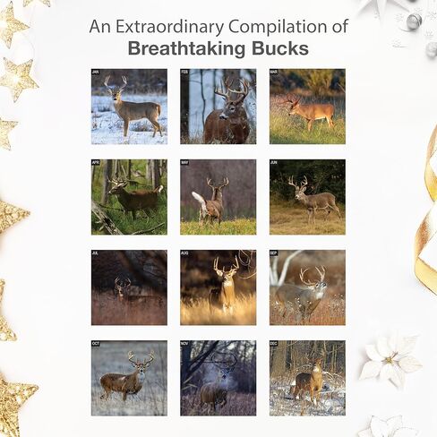 تقويم حائط RED EMBER Dream Bucks 2026 لمدة 12 شهرًا | ورق سميك وقوي | هدية العيد | صيد الغزلان ذو الذيل الأبيض، تقويم الحيوانات البرية لعام 2026 in Kuwait