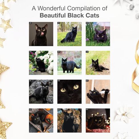 تقويم حائط قطط سوداء من ريد إمبر 2026 لمدة 12 شهرًا | ورق سميك وقوي | هدية العيد | لطيف هريرة القط التقويم 2026 in Kuwait