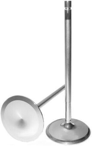Manley 11338-8 Race Flo Intake Valve, 35.5mm in Saudi Arabia