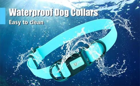 Waterproof Dog Collars,Rubber Dog Collars Anti-Odor,Durable,Adjustable Dog Collars for Small,Medium, Large Dogs,Easy Clean Collars with Buckle and D Ring (Lake Blue, Large [1" x 15.35"-24.8"]) in Saudi Arabia