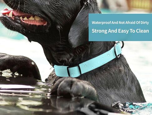 Waterproof Dog Collars,Rubber Dog Collars Anti-Odor,Durable,Adjustable Dog Collars for Small,Medium, Large Dogs,Easy Clean Collars with Buckle and D Ring (Lake Blue, Large [1" x 15.35"-24.8"]) in Saudi Arabia