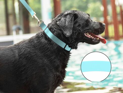 Waterproof Dog Collars,Rubber Dog Collars Anti-Odor,Durable,Adjustable Dog Collars for Small,Medium, Large Dogs,Easy Clean Collars with Buckle and D Ring (Lake Blue, Large [1" x 15.35"-24.8"]) in Saudi Arabia