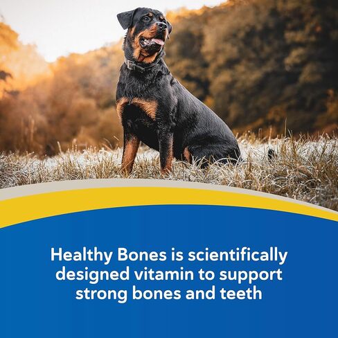 Doc Roys Healthy Bones 100ct in Saudi Arabia