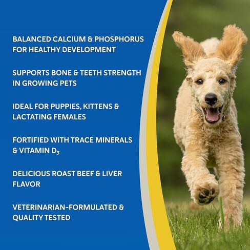 Doc Roys Healthy Bones 100ct in Saudi Arabia