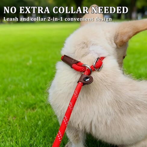 WYUZE 2 Pcs 8 ft Slip Lead Dog Leash, Reflective No Pull Training Lead, 1/3" Nylon Rope Slip Leash for Small Medium Dogs (Blue+Black) in Kuwait