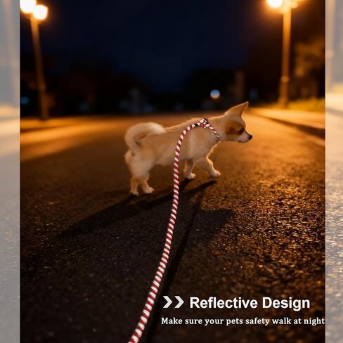 WYUZE 2 Pcs 8 ft Slip Lead Dog Leash, Reflective No Pull Training Lead, 1/3" Nylon Rope Slip Leash for Small Medium Dogs (Blue+Black) in Kuwait