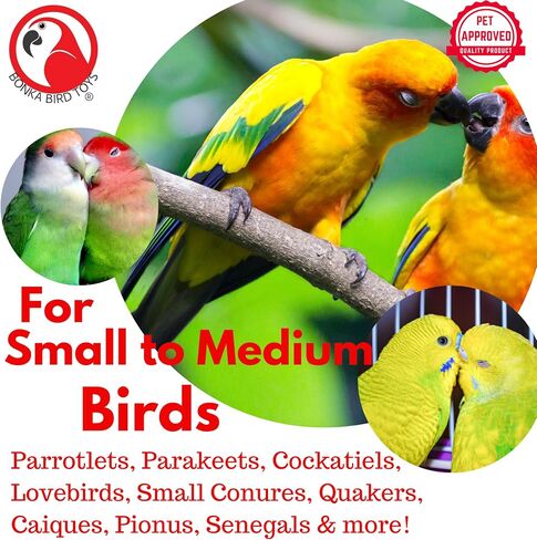 Bonka Bird Toys 3874 Duo Take Out Small Medium Bird Toy Oyster Pail Treat Box Foraging Paper Chew Shred Cockatiel Parakeet Conures and Other Similar Birds in Kuwait