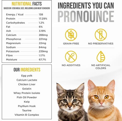 Know Better for Cats - Beef Recipe, RAW or Cooked Premix/Supplement for Making Homemade Cat Food, All Natural, Holistic Veterinarian Approved, Grain Free, No Artificial Additives in Saudi Arabia