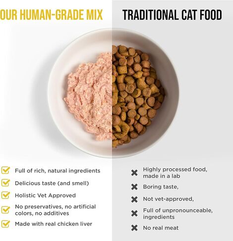 Know Better for Cats - Beef Recipe, RAW or Cooked Premix/Supplement for Making Homemade Cat Food, All Natural, Holistic Veterinarian Approved, Grain Free, No Artificial Additives in Saudi Arabia
