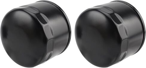 فلتر زيت AUTOKAY 49065-7007 مع فلتر الوقود لـ Kawasaki FX600V FR691V FR730V FR651V FR541V FR600V FX600V FS730 FX600v FS451V FS481V FS691V FS651V محرك 4 دورات، قطعتان in Saudi Arabia