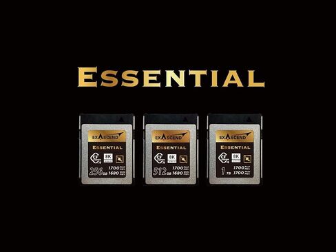 بطاقة Exascend 256G Essential CFexpress من النوع B، قراءة تصل إلى 1800 ميجابايت/ثانية، متوافقة مع كاميرات Canon وNikon وPanasonic وغيرها. in Kuwait