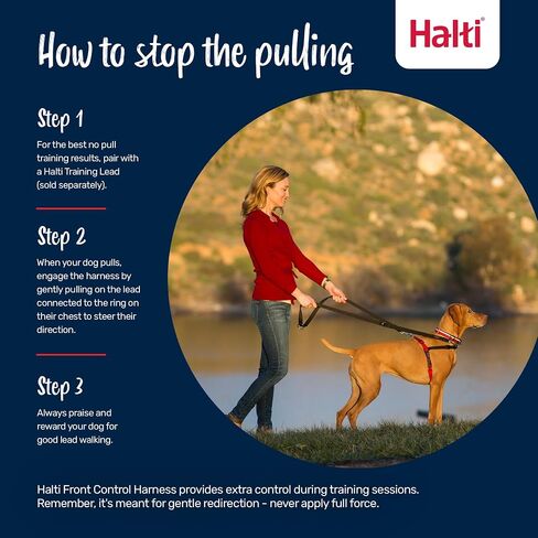 HALTI Front Control Harness, Size Medium, Bestselling Professional Dog Harness to Stop Pulling on the Lead, Easy to Use, Anti-Pull Training Aid, Front Leading No Pull Harness for Medium Dogs in Kuwait