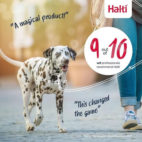 HALTI Front Control Harness, Size Medium, Bestselling Professional Dog Harness to Stop Pulling on the Lead, Easy to Use, Anti-Pull Training Aid, Front Leading No Pull Harness for Medium Dogs in Kuwait