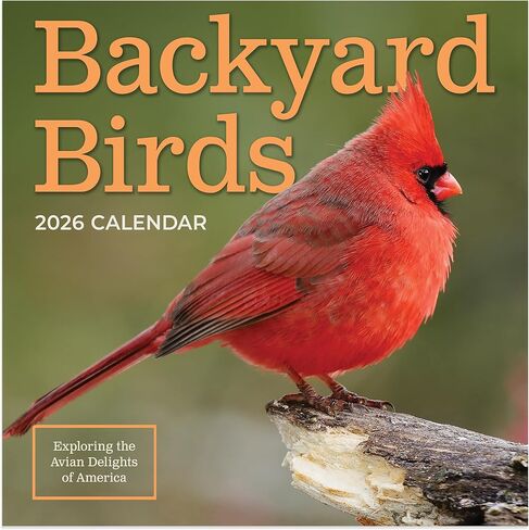 TF Publishing 2026 Backyard Birds Mini Calendar with Monthly Grids for Appointments and Scheduling - Vertical Small Wall Calendar 2026 with Premium Gloss Paper for Home and Office Organization - 7x7in in Saudi Arabia