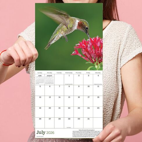 TF Publishing 2026 Backyard Birds Mini Calendar with Monthly Grids for Appointments and Scheduling - Vertical Small Wall Calendar 2026 with Premium Gloss Paper for Home and Office Organization - 7x7in in Saudi Arabia