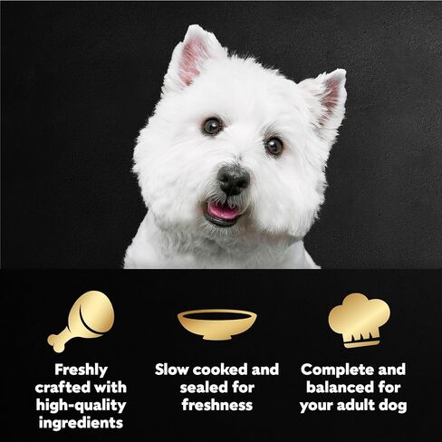 Cesar Filets in Gravy Wet Dog Food Wood-Grilled Chicken Flavor, 1.76 oz. Mini-Pouch, 20 Pack in Saudi Arabia