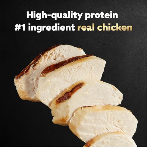 Cesar Filets in Gravy Wet Dog Food Wood-Grilled Chicken Flavor, 1.76 oz. Mini-Pouch, 20 Pack in Saudi Arabia