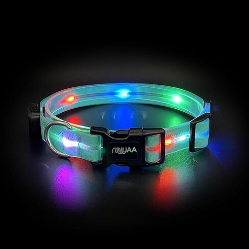 Light up Dog Collars, LED Dog Collar Light, USB Rechargeable Bright Flashing Dog Collar with Waterproof, Lighted Safety Collar for Walking at Night for Small Medium Large Dogs (Blue) in Saudi Arabia