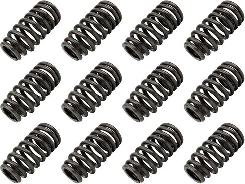 APDTY 171081x12 Valve Spring Kit; Set Of 12; 3.6L Engine; Replaces 5184060AN in Saudi Arabia