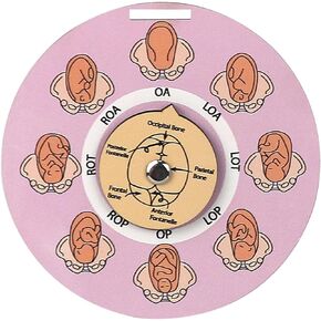 Midwife Fetal Position Tool,Fetal Position Wheel for Student Midwife Doctor Doula Childbirth Education Tools Badge Buddies for Nurse (White)
