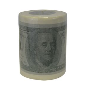 Fairly Odd Novelties USA Money Novelty Toilet Paper