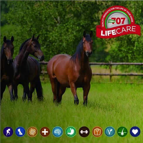 مكمل الفورمولا 707 Glo-N-Go للخيول، سائل جالون - دعم الفيتامينات والسعرات الحرارية للاحتفاظ بالوزن الصحي وحالة الفراء في الخيول in Kuwait